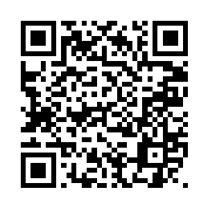 门外站着的那个人最擅长的就是查账二维码生成