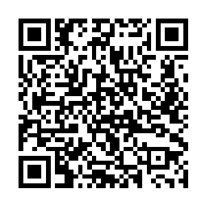 门派每隔几年都要到凡人的世界里挑选有灵根的孩子二维码生成