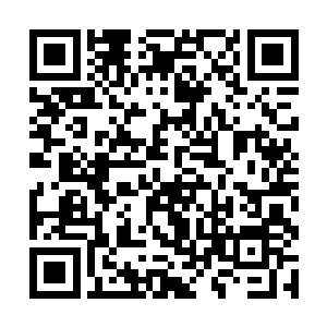 闫成德也是早已经算准洪大力这四本秘籍绝对是真的二维码生成