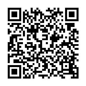 问一下外面守夜的巫族子弟有没有人闯进来不就知道了二维码生成