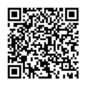 闲暇的时候偶尔指点一下孟元和孟芸两个人的修炼二维码生成