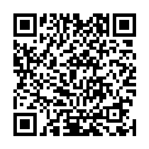 闹得整个宁海市都风风雨雨的毒品窝案终于宣告完美结案二维码生成