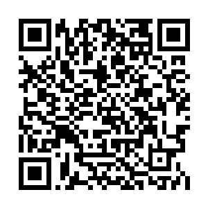 闹闹和小碗儿扯着他儿子的胳膊都快要拽脱臼了二维码生成