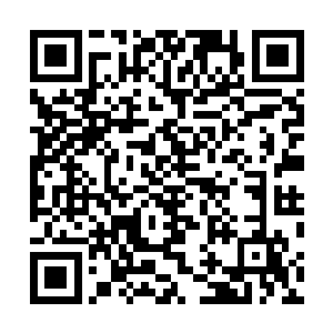 闻人家族现在必须要重新选择一个能够当家作主的人出来二维码生成