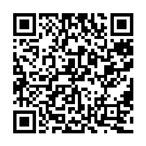 闻人照和那个中蛊的保镖被人给扛在肩上跟在他们的身后二维码生成