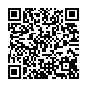 闻人照夹了块野猪肉放进闻人牧月面前的碟子里二维码生成