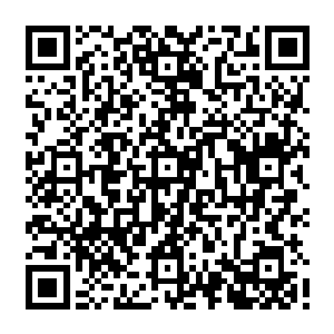 闻人牧月小姐在我们的邀请下第一时间就派了自己的助手马悦带人去厨房进行检查二维码生成