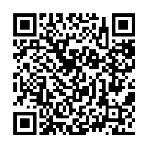 闻啼鸟的柴房狗屎运少年能否在下一场高中榜单二维码生成