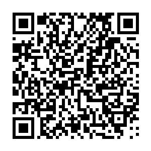 闻声出来的尹隻一眼就看到了不久前派出去的一行家丁正抬着两个人回来二维码生成