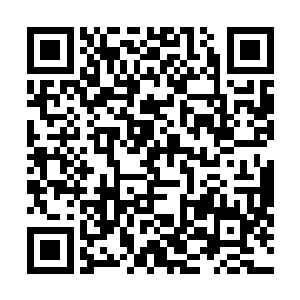 闻大少奶奶和妯娌们一大早上带着几个兄弟们去王家说话二维码生成