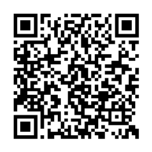 闻春意已经清楚明白两人在棋艺方面的天壤之别二维码生成