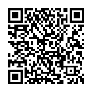 闻春意瞧着两位表小姐如春水烂漫一般的小眼神二维码生成