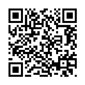 闻讯赶到的玄成真人绕着他走了一圈二维码生成