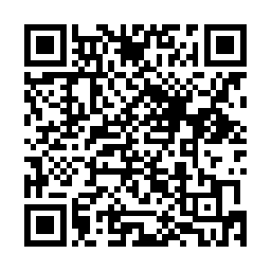 闻雅和莫飘明显的感觉到马车内的气氛变得更加的阴冷了二维码生成