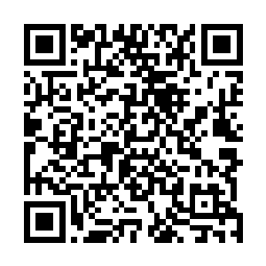 阎明曾经好几次听到长老谈论过这位千年难得一现的天才二维码生成