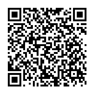 队伍只有淘宝拳和皮野绫这俩人能够暂时充当起前排吸收伤害的角色二维码生成