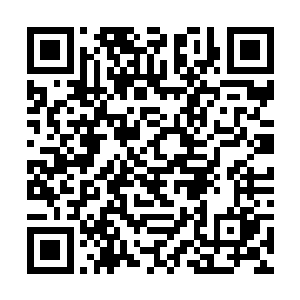 队伍才出了没多久他就收到了万公公送来的两瓶药酒二维码生成