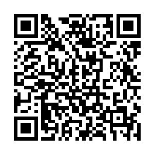 队后能第一时间赶回来向临时督查委员会的老师报告二维码生成