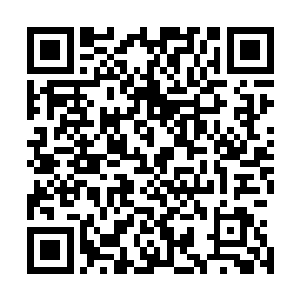 阮荷黎很怀疑自己的智商是不是在遇到芮阁的时候被生吞了二维码生成