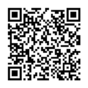 阮荷黎感到自己的心像被吊起又被狠狠地摔在地上二维码生成