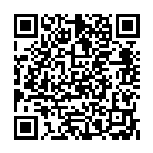 阮荷黎捡起手边的一片碎菜叶朝着大虾扔了过去二维码生成