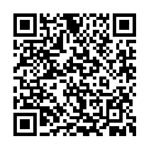 阮荷黎见大虾吞吞吐吐的样子疑惑地看着苏墨尘二维码生成