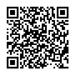 阮软不禁又望向林安垂在身侧刚刚牵住自己的那只手二维码生成