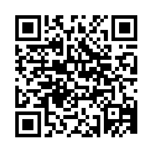 阳光就在头顶大树的枝叶缝隙里洒了下来二维码生成