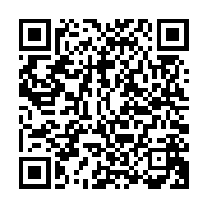 阳极宗和一元宗的四名圣皇强者心中都知道皓月仙子并没有死亡二维码生成