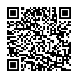 阳炎便絮絮叨叨地告诉杨开这段时间外面各方势力的动态二维码生成