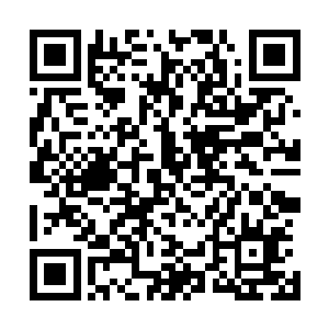 阴气入体化作法力运行二十四个大周天就能进价到中期跳尸二维码生成