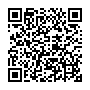 阵地前沿的俄军则是向着革命军一口气冲击了四五百米二维码生成