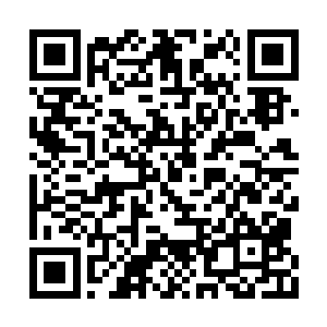 阵盘吸收着天地元气不断补充着修士损失的灵力二维码生成