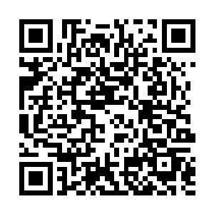 阿什莉居然要欢喜哥在摄像机面前和这条土佐斗犬成为二维码生成