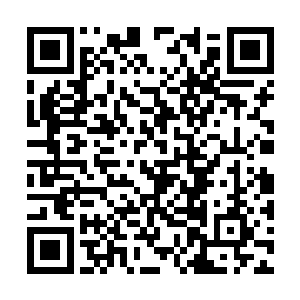 阿努夫里很享受苏菲亚等人那充满狂热崇拜的目光二维码生成