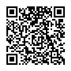 阿努夫里等佩图霍夫家族直系后裔都不能再踏上基诺维兰的国土二维码生成