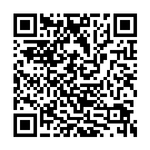 阿夏公主却是第一次见到如此恢弘而壮美的景象二维码生成