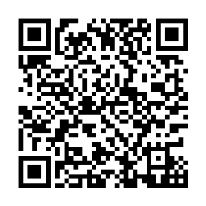 阿夏公主和后宫团的所有姐妹们都神色复杂地看着黑杰克二维码生成