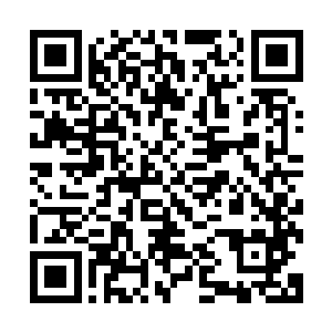 阿拉丁不在这里我们没有必要为了两个小人物而坏了所有计划二维码生成