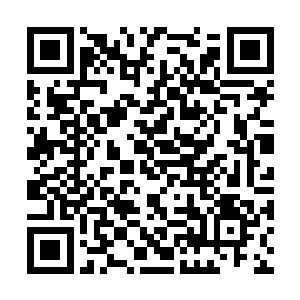 阿母对于人或者动物来说都是完全没法取代的存在二维码生成