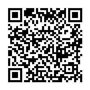 阿爽立刻的开始联系第一家族悬赏令上面公布的联系方式二维码生成