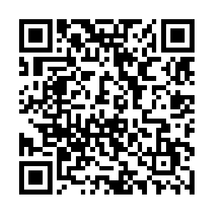 阿达罗柯一直都是一位活得相当肆意潇洒的中年大叔二维码生成