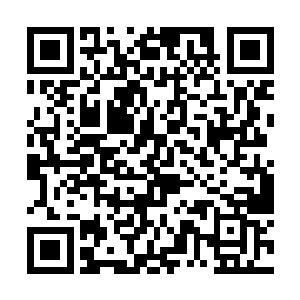 阿里提身体里变成最后一丝生命精华流入白昊的身体二维码生成