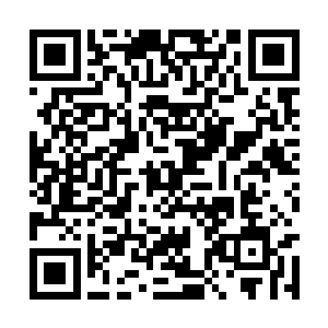 阿颜不假思索地将她的小手塞到十五岁少年的嘴里二维码生成