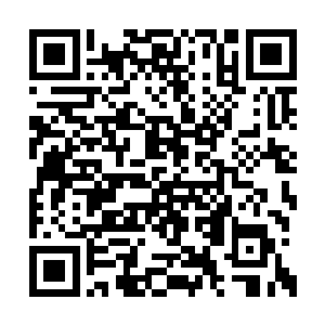 阿龙阿虎找到人以后就给他这个二当家来过电话二维码生成