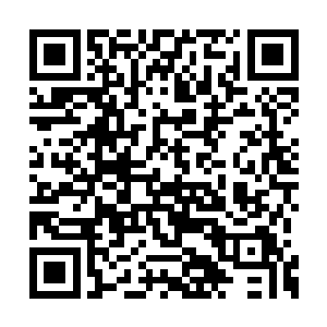 附在司徒青云身上的这个生灵却是完全不一样的二维码生成