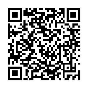 陆中齐和虎道人由于目睹了他适才轻松杀掉剑将军二维码生成