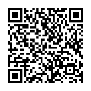 陆为民也不认为陆志华能在几年之内就能完成这种模式的搭建二维码生成