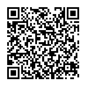 陆为民也逐一介绍了代表团在各国访问交流时在各有侧重的情况下二维码生成