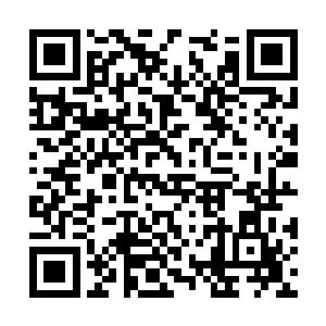 陆为民到没有多少心思顾及詹永黎和其他入的心情二维码生成